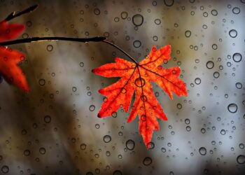 कविता- प्रण हमारा - अज़य महिया