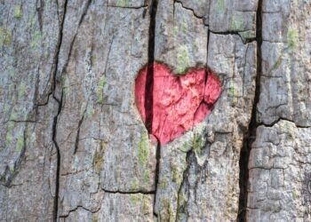 तुम्हारा पहला, तुम्हारा दुबारा